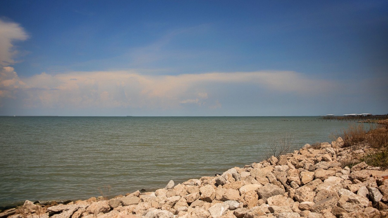 Photo of Others in Bacliff