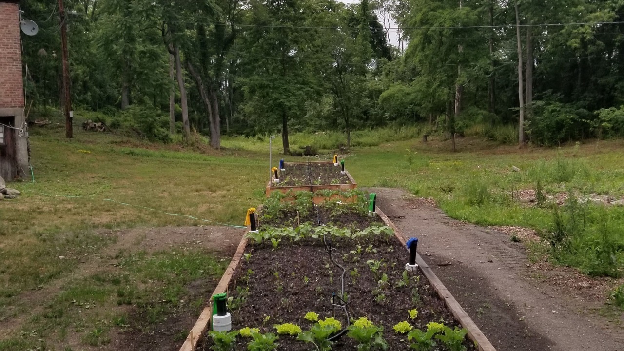 Photo of Outdoor in Staatsburg