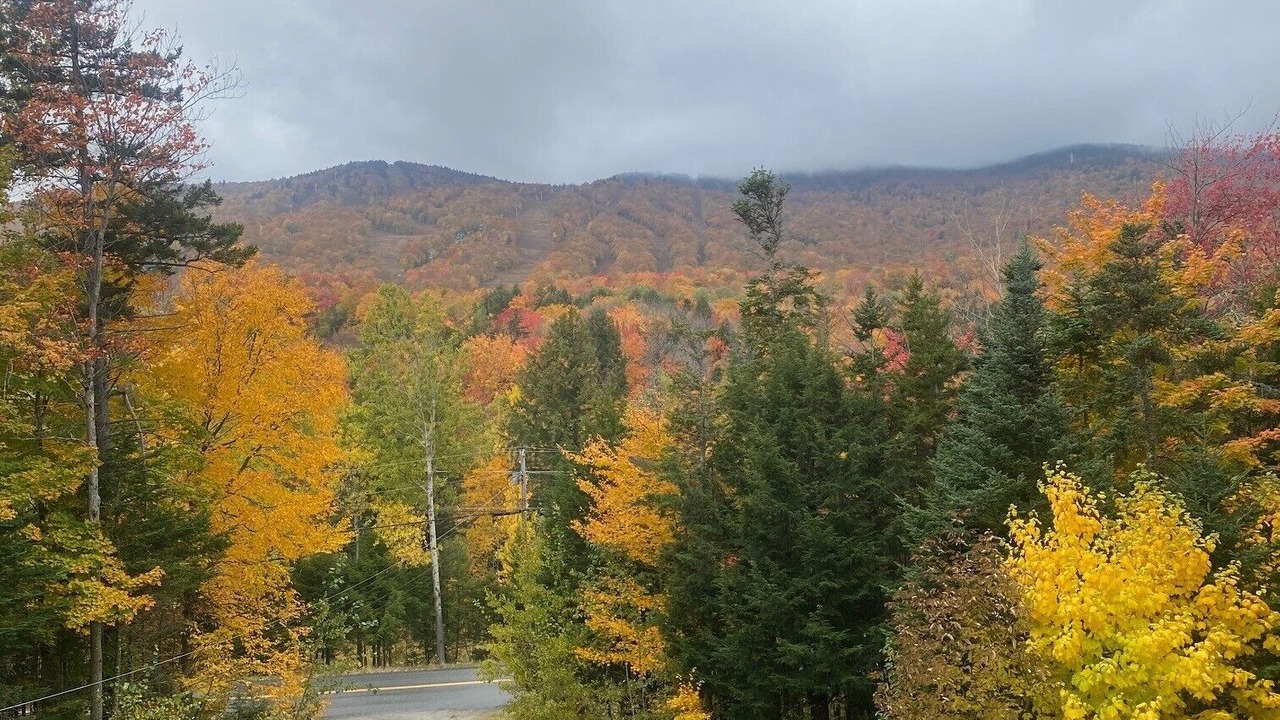 Photo of Outdoor in West Dover