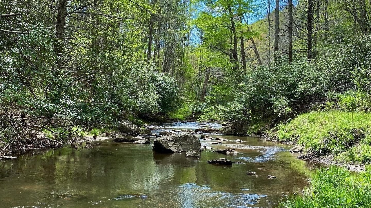 Photo of Others in New River