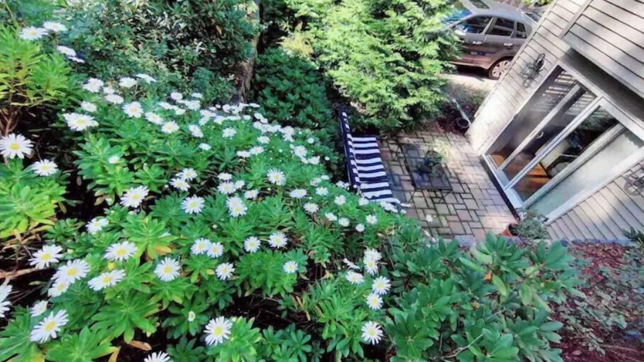 Photo of Outdoor in Melrose