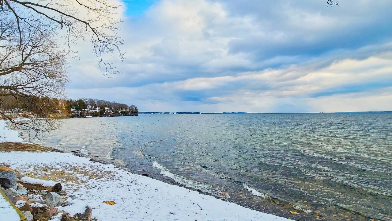Photo of Others in Malletts Bay