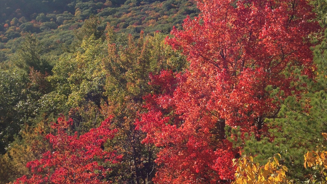 Photo of Others in Copake Lake