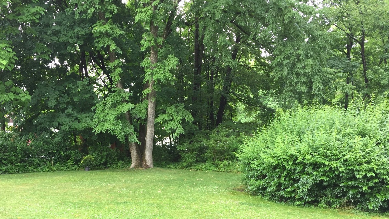 Photo of Others in Woodstock