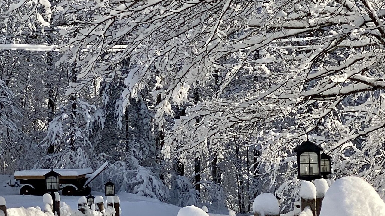 Photo of Outdoor in Arlington