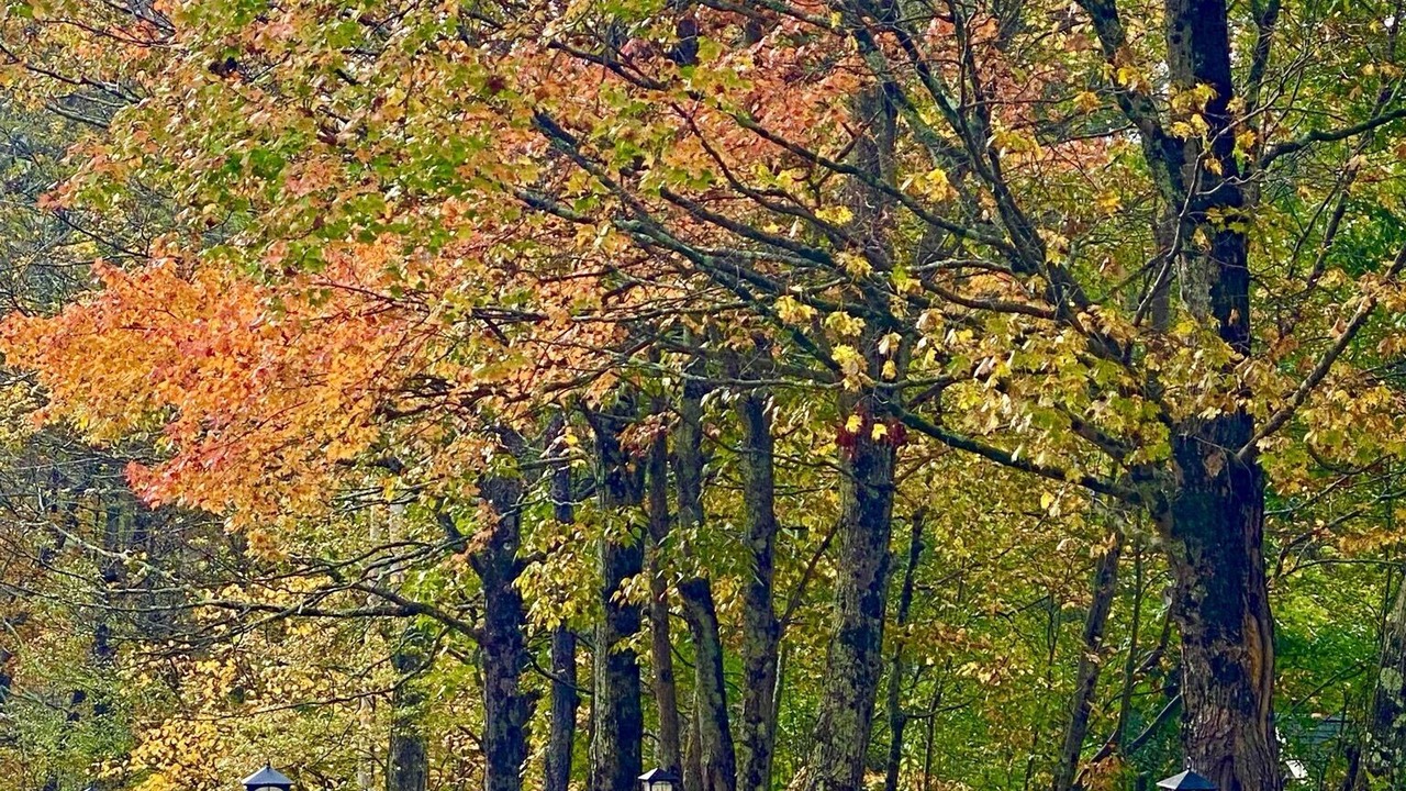 Photo of Outdoor in Arlington