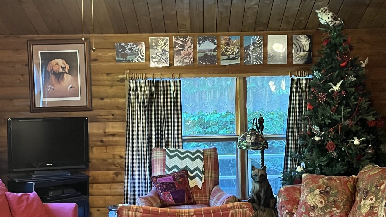 Photo of Livingroom in West Dover
