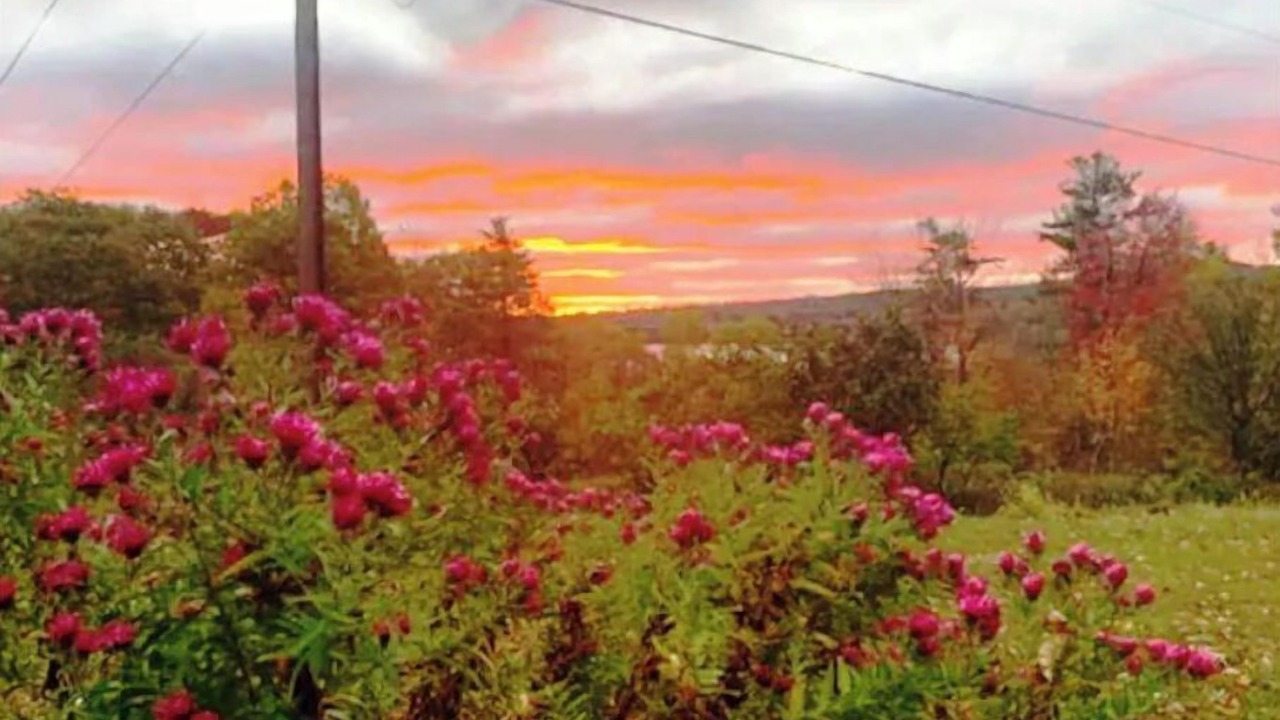 Photo of Outdoor in Washington