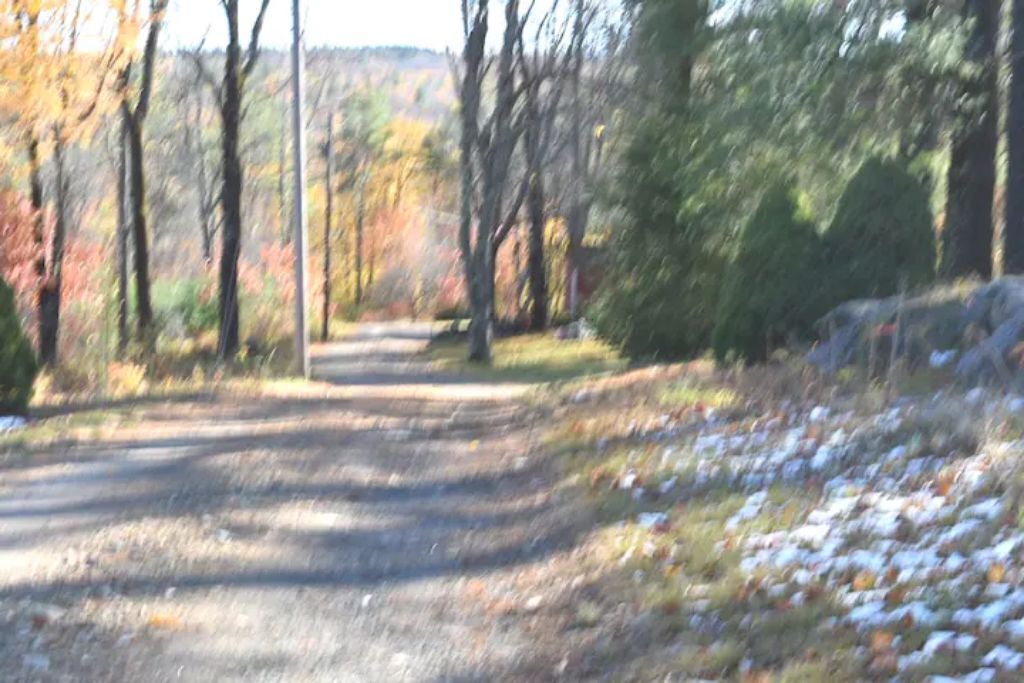 Photo of Outdoor in Washington