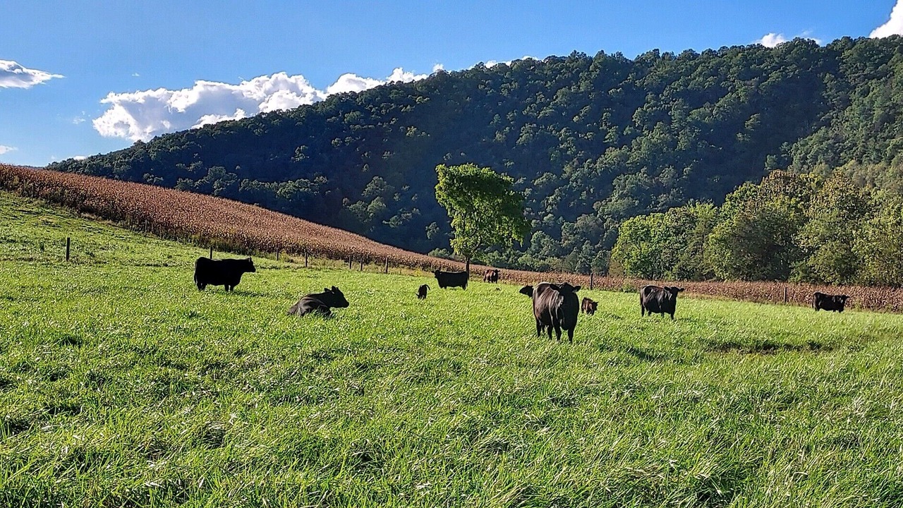 Photo of Outdoor in Hopewell