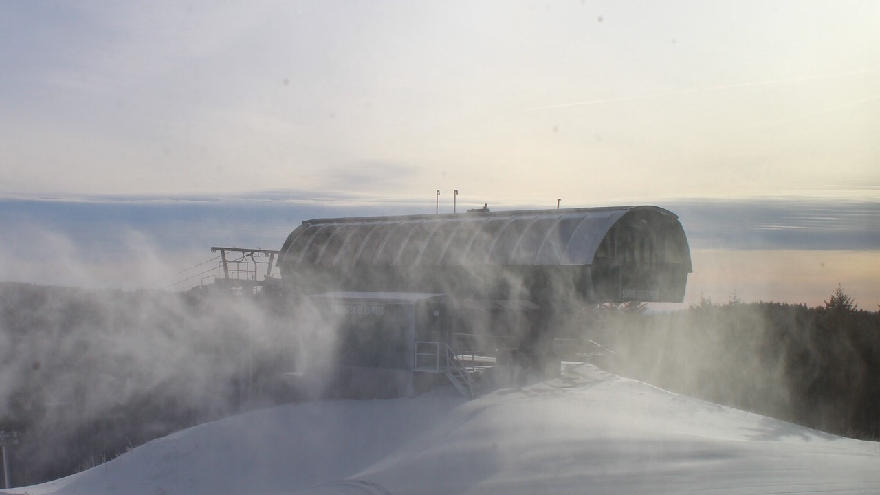 Photo of Others in Snowshoe