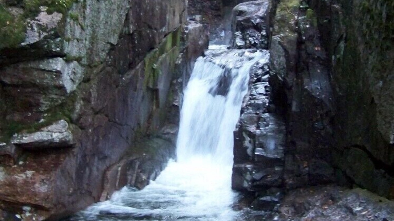 Photo of Others in Warren