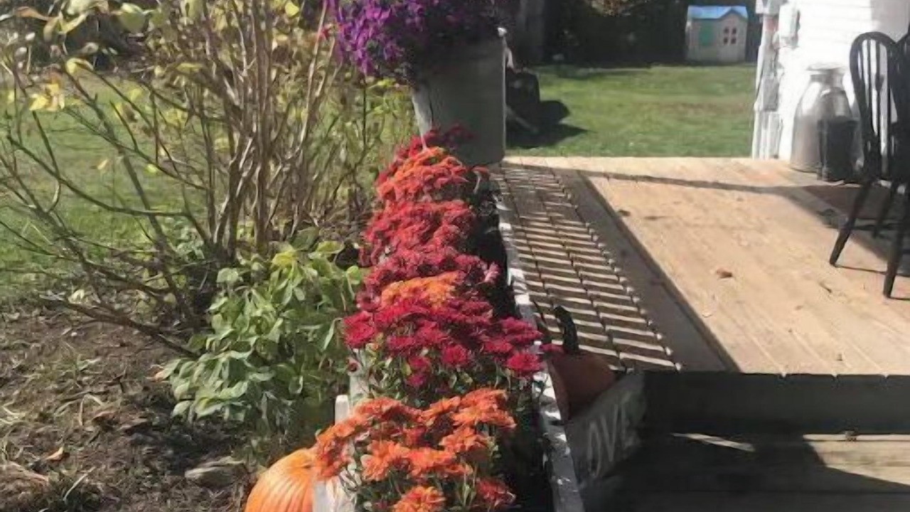 Photo of Patio Balcony in Londonderry