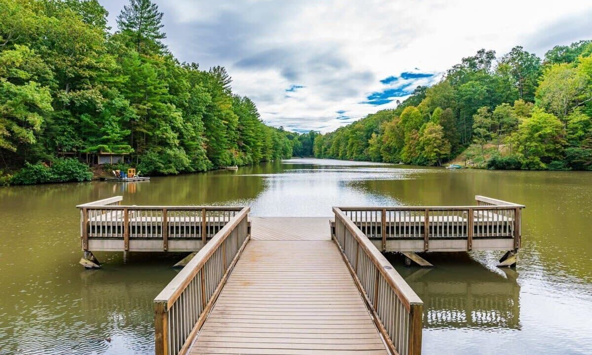 Photo of Outdoor in The Woods