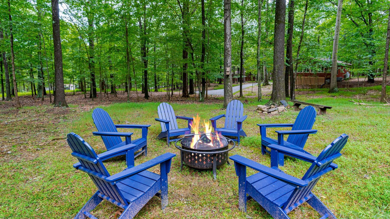 Photo of Outdoor in The Woods