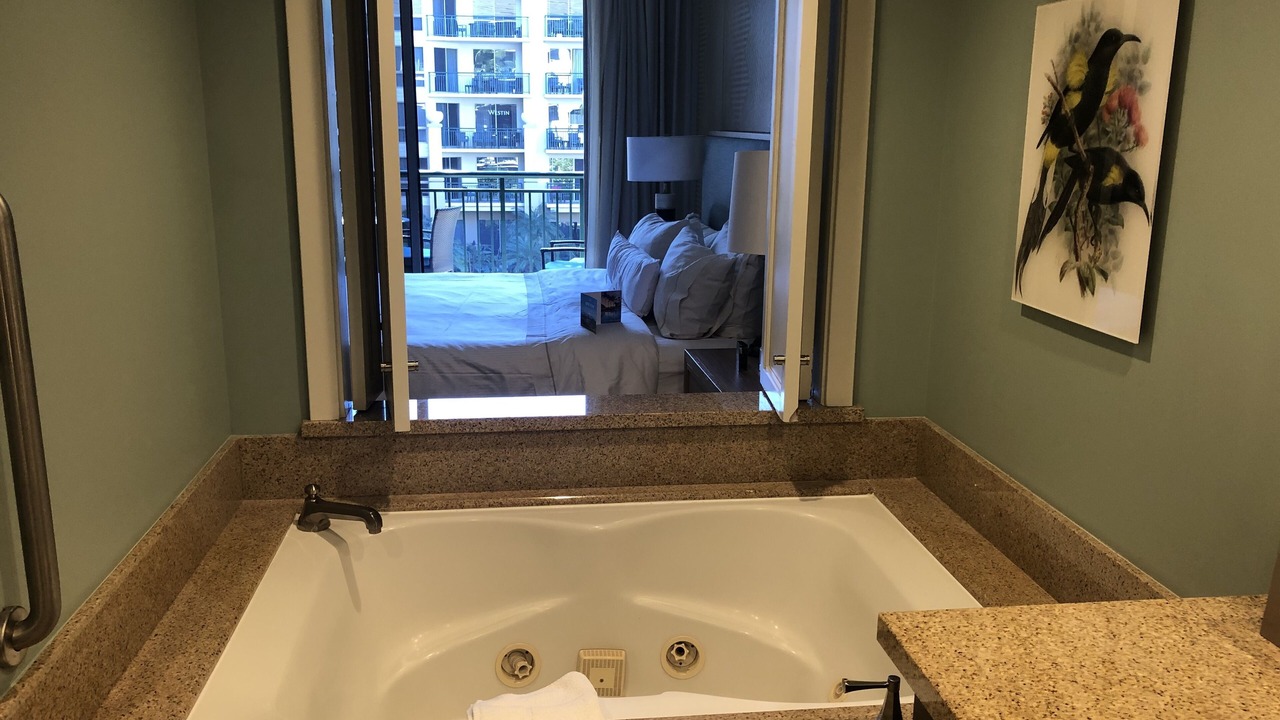 Photo of Bathroom in Kaanapali