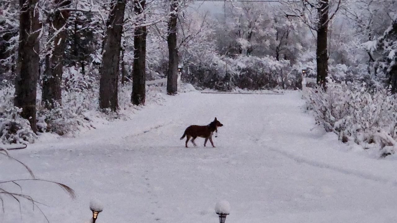 Photo of Others in New Paltz