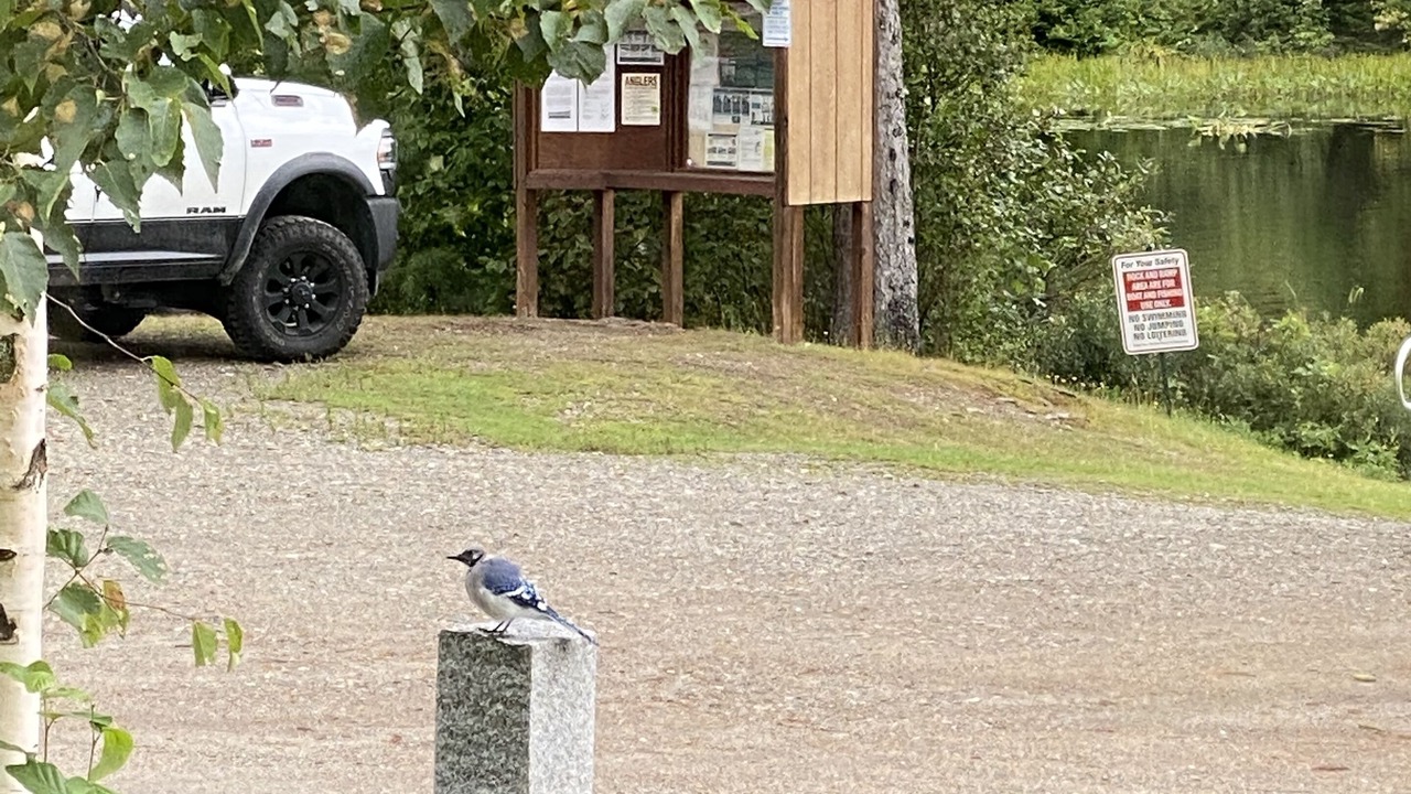 Photo of Outdoor in Errol