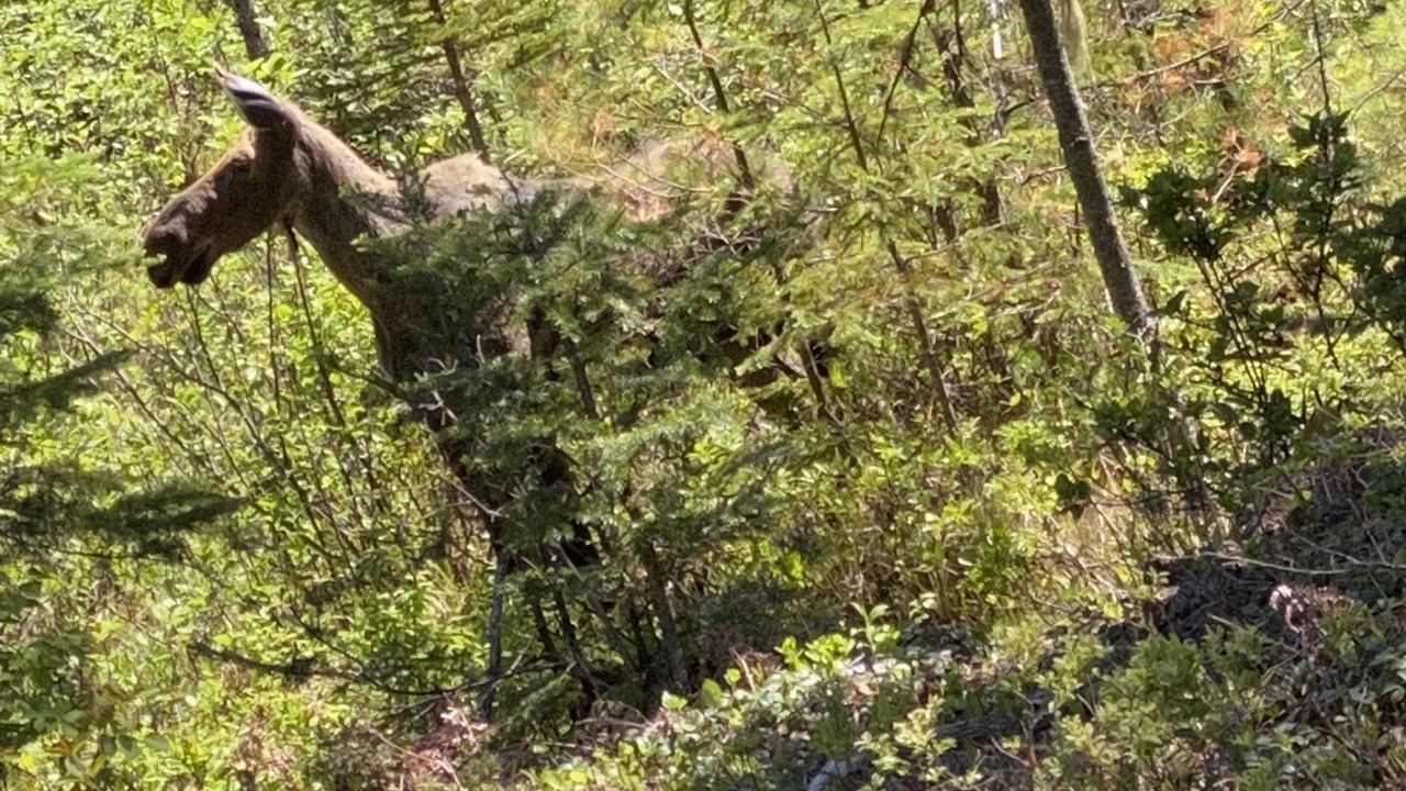 Photo of Outdoor in Errol