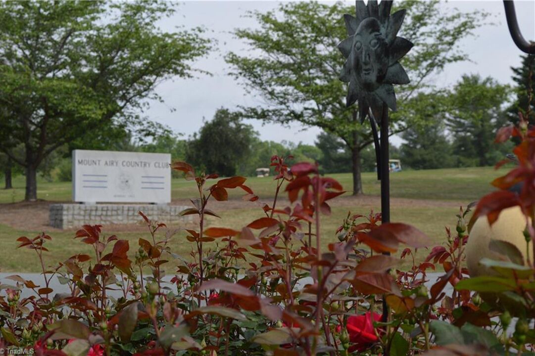Photo of Outdoor in Mount Airy