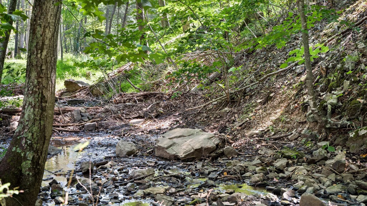 Photo of Others in Arthur