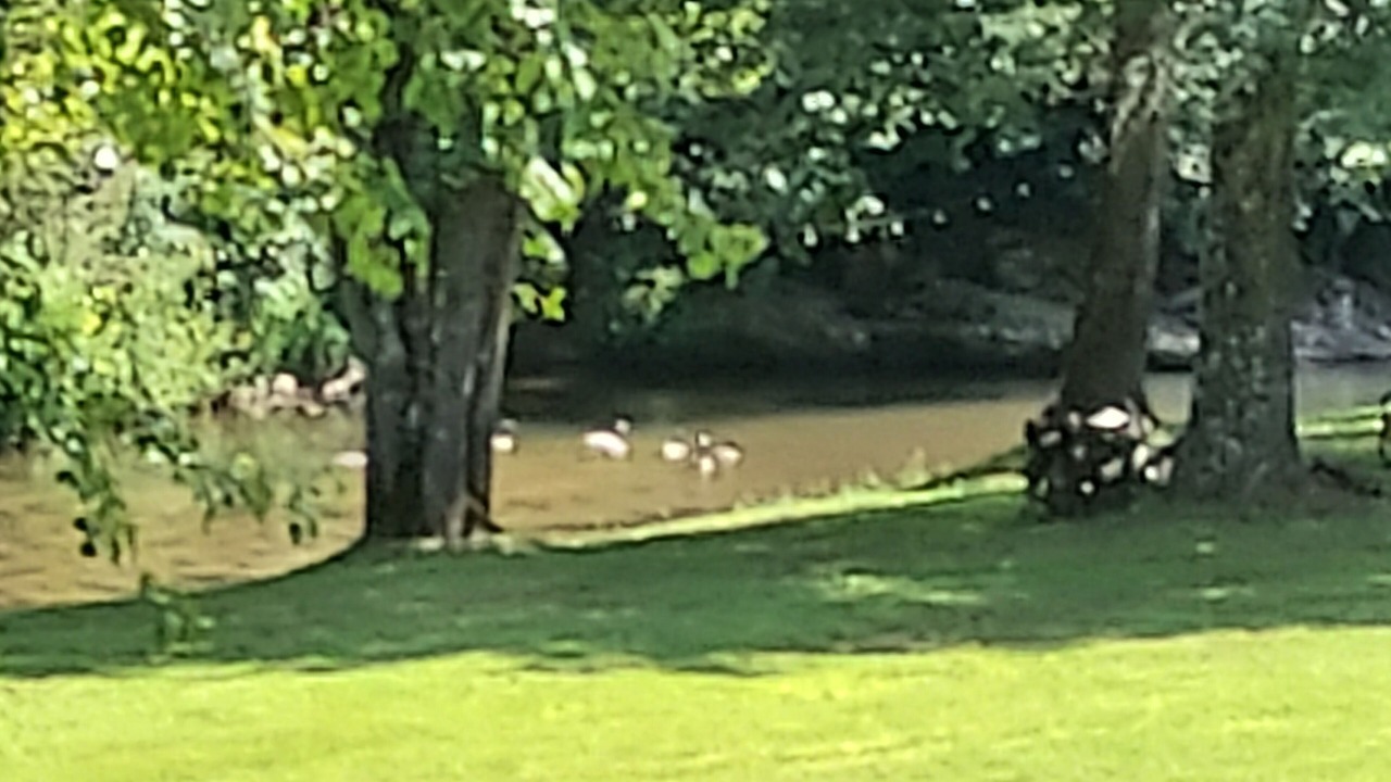 Photo of Others in Arlington