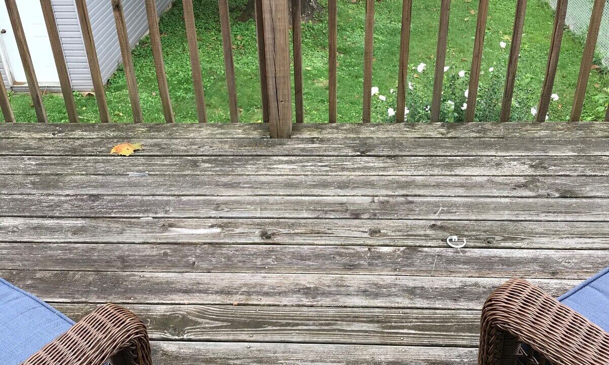 Photo of Outdoor in Charleston