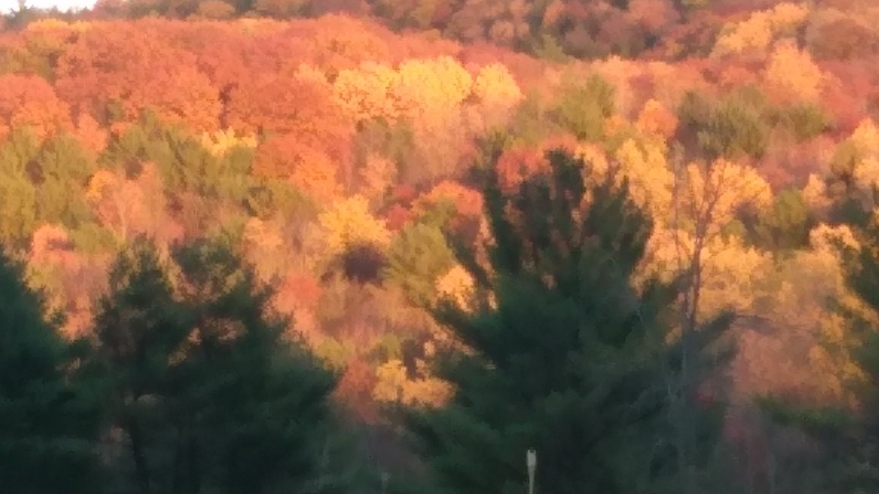 Photo of Outdoor in Cohocton