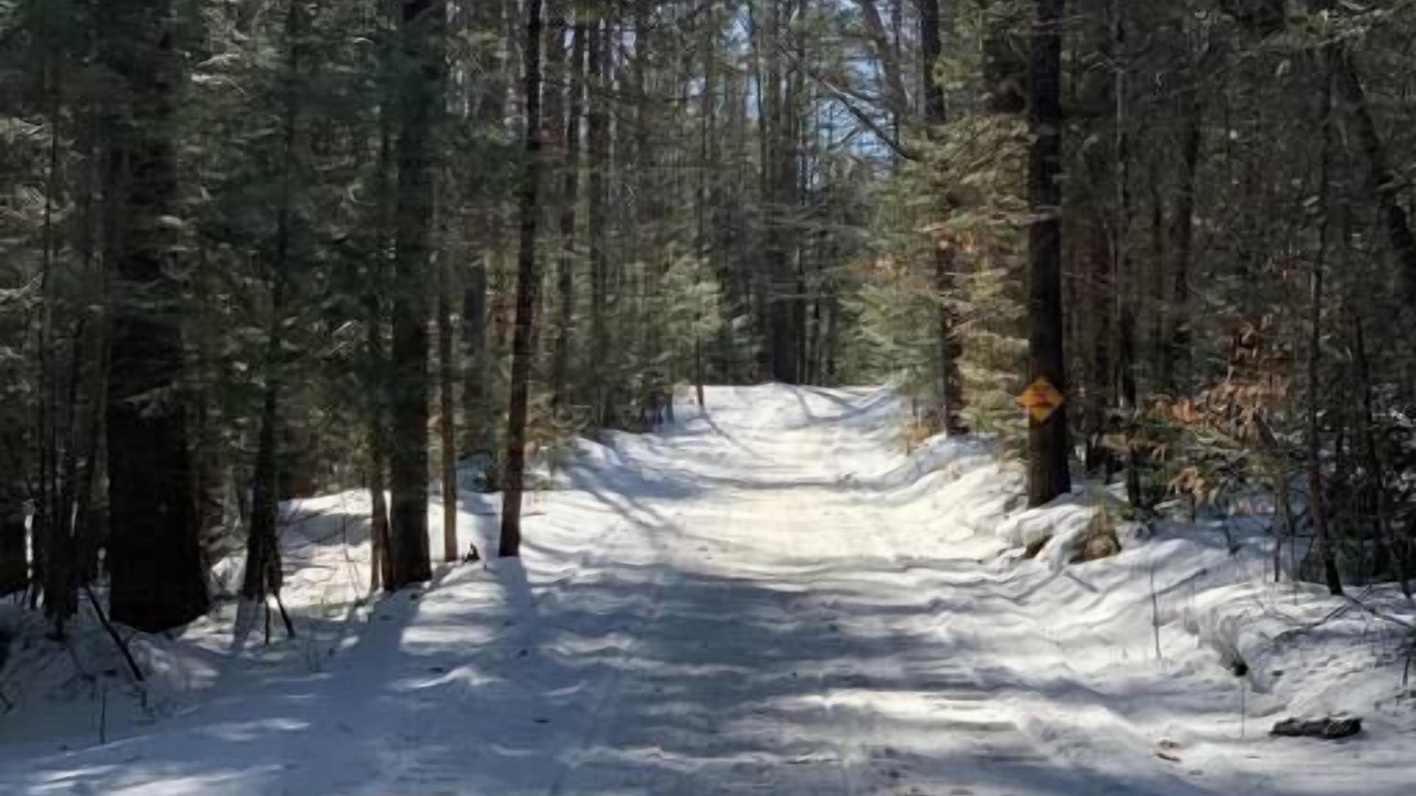 Photo of Others in Tuftonboro