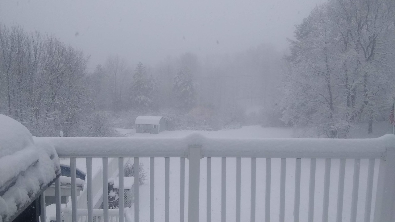 Photo of Outdoor in Williamstown