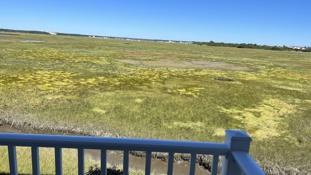 Photo of Outdoor in Seabrook