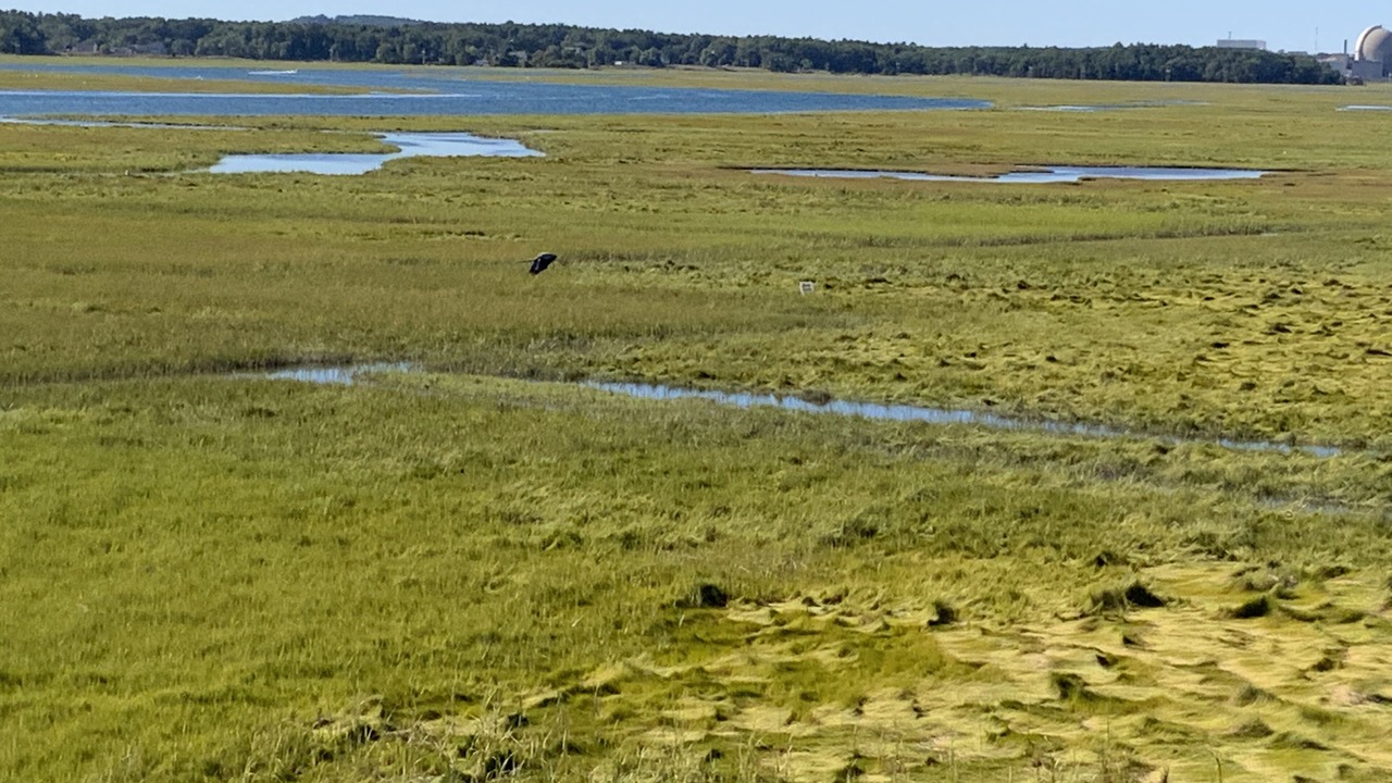 Photo of Others in Seabrook