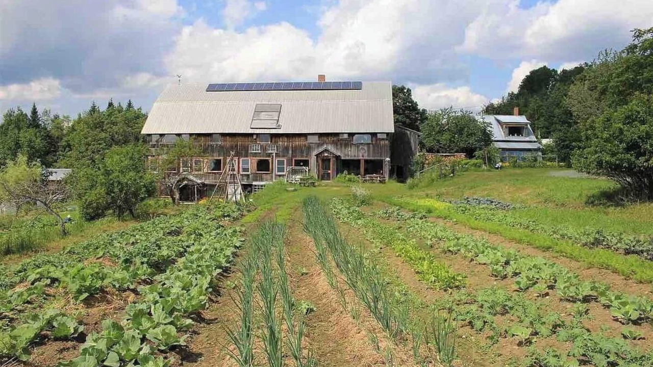 Photo of Outdoor in Greensboro Bend