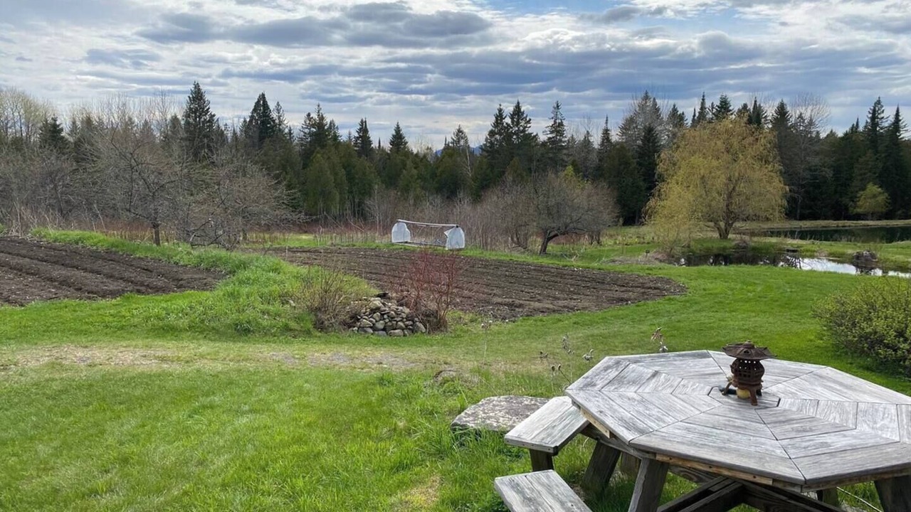Photo of Outdoor in Greensboro Bend