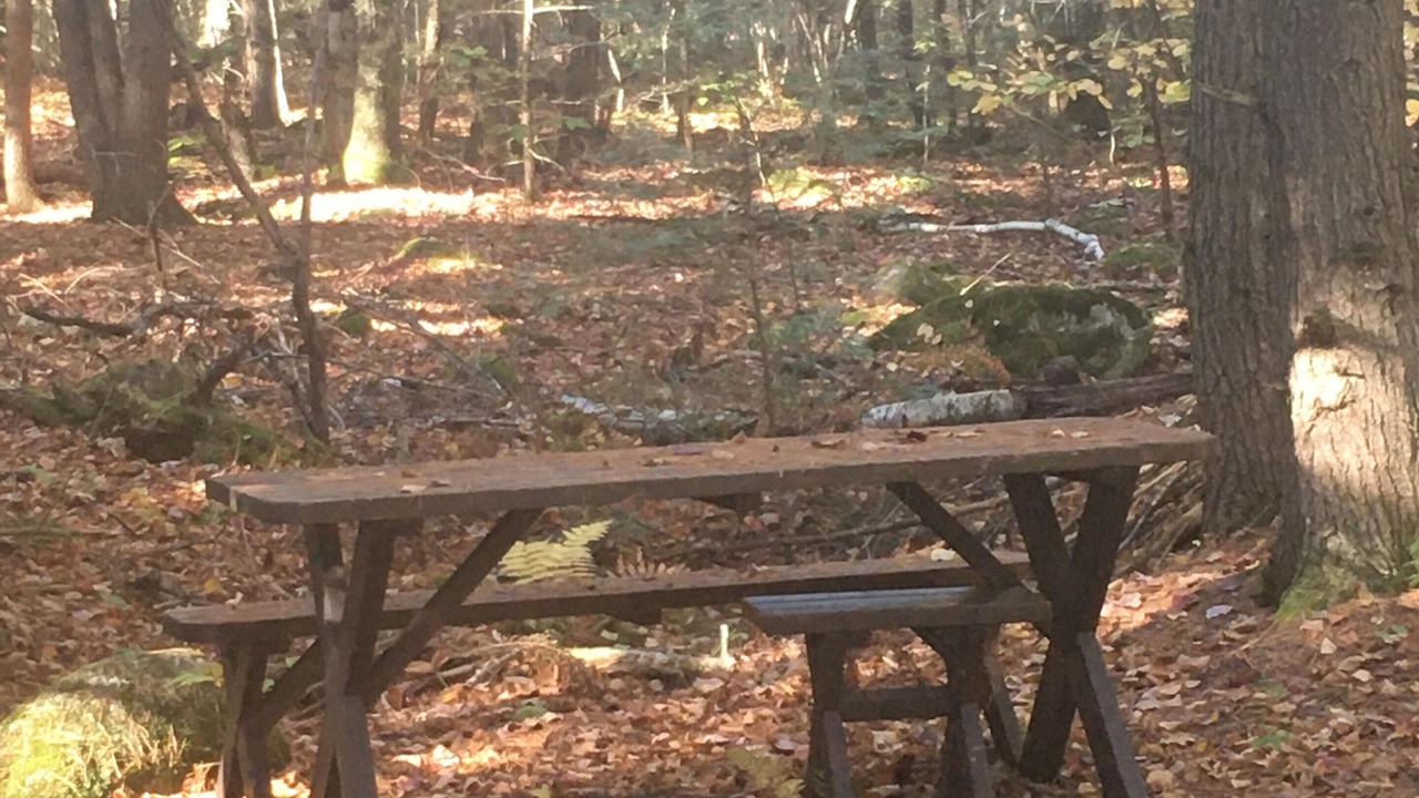 Photo of Outdoor in Lyndeborough