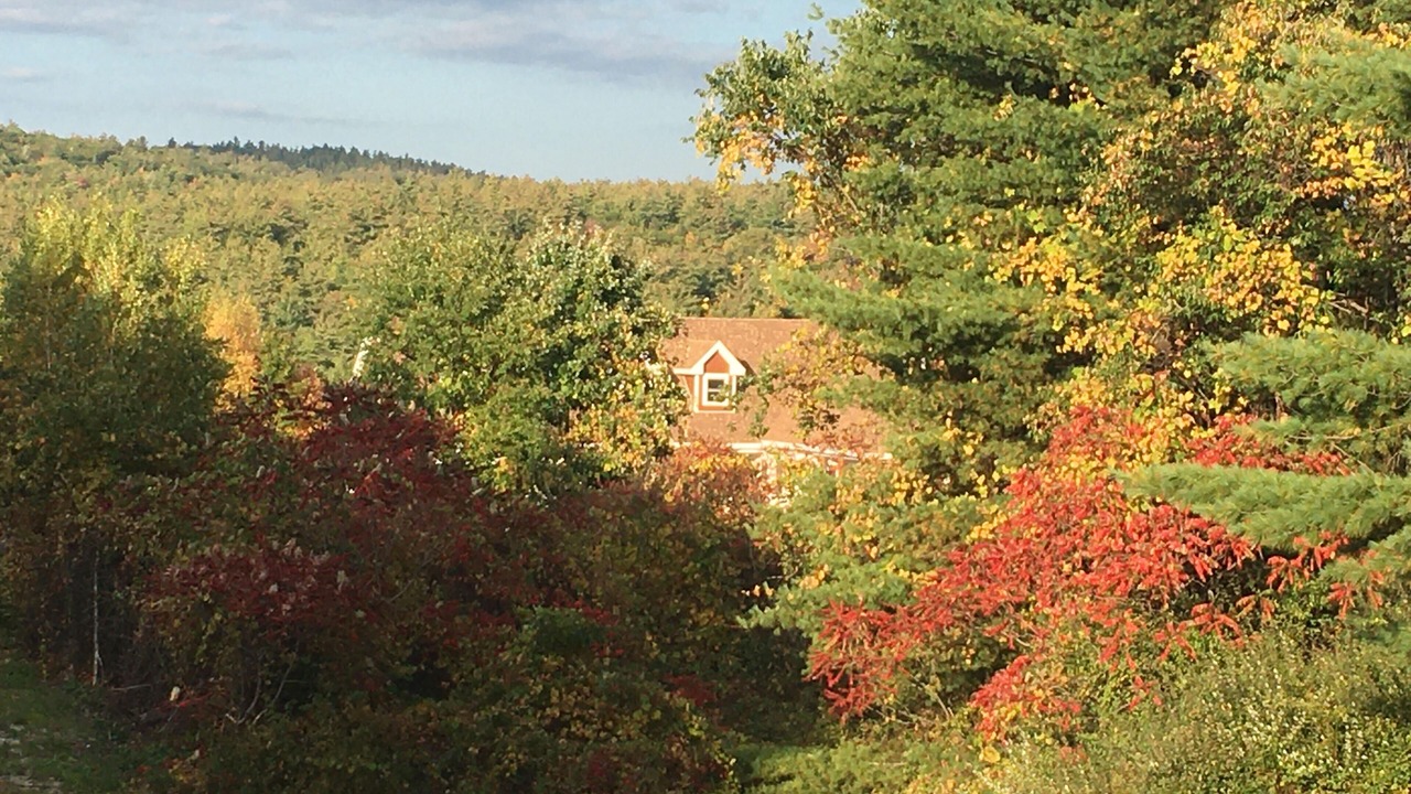 Photo of Outdoor in Lyndeborough
