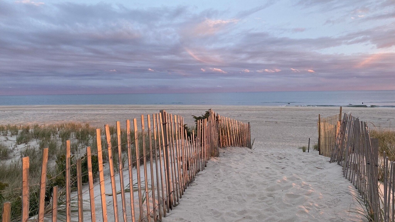 Photo of Others in Hampton Bays