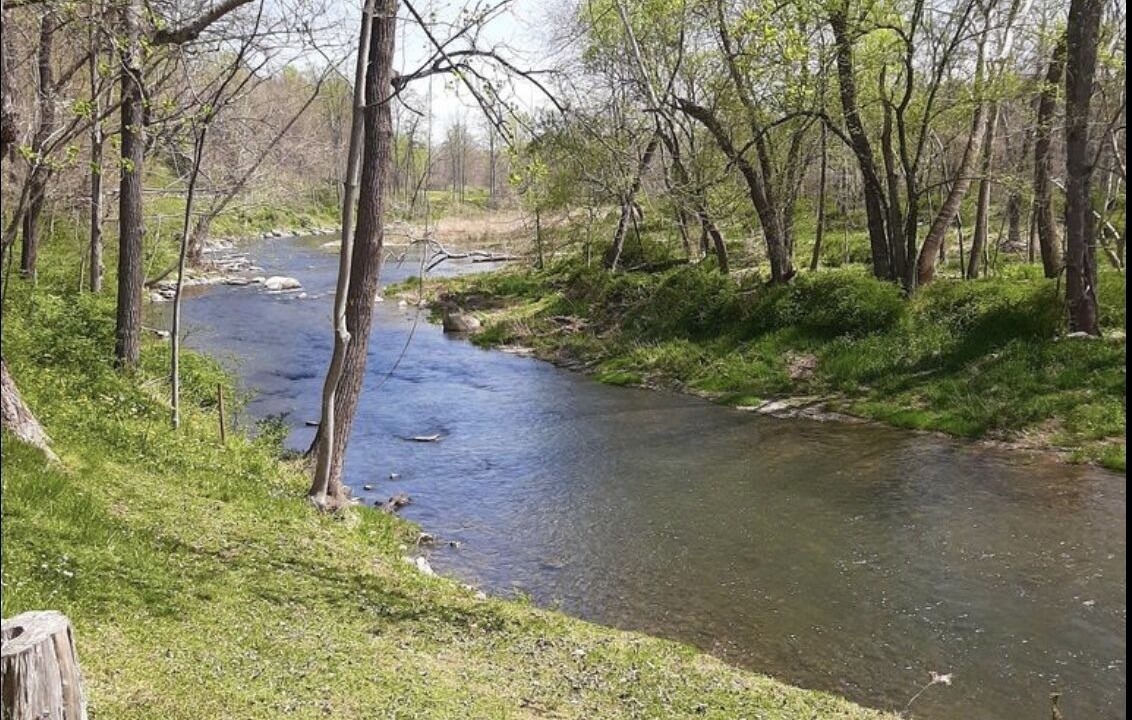 Photo of Outdoor in Yellow Spring