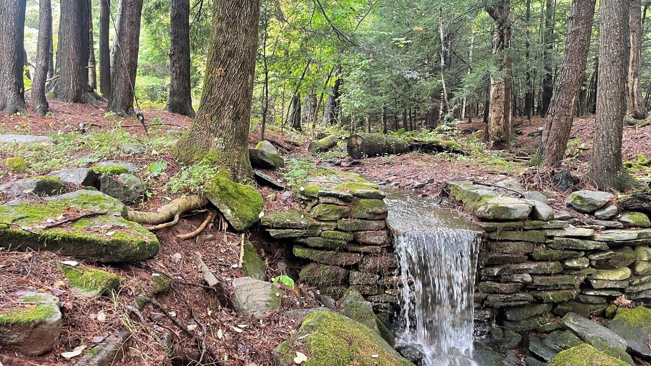 Photo of Outdoor in Maplecrest