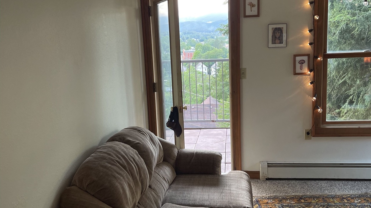 Photo of Livingroom in Leadsville
