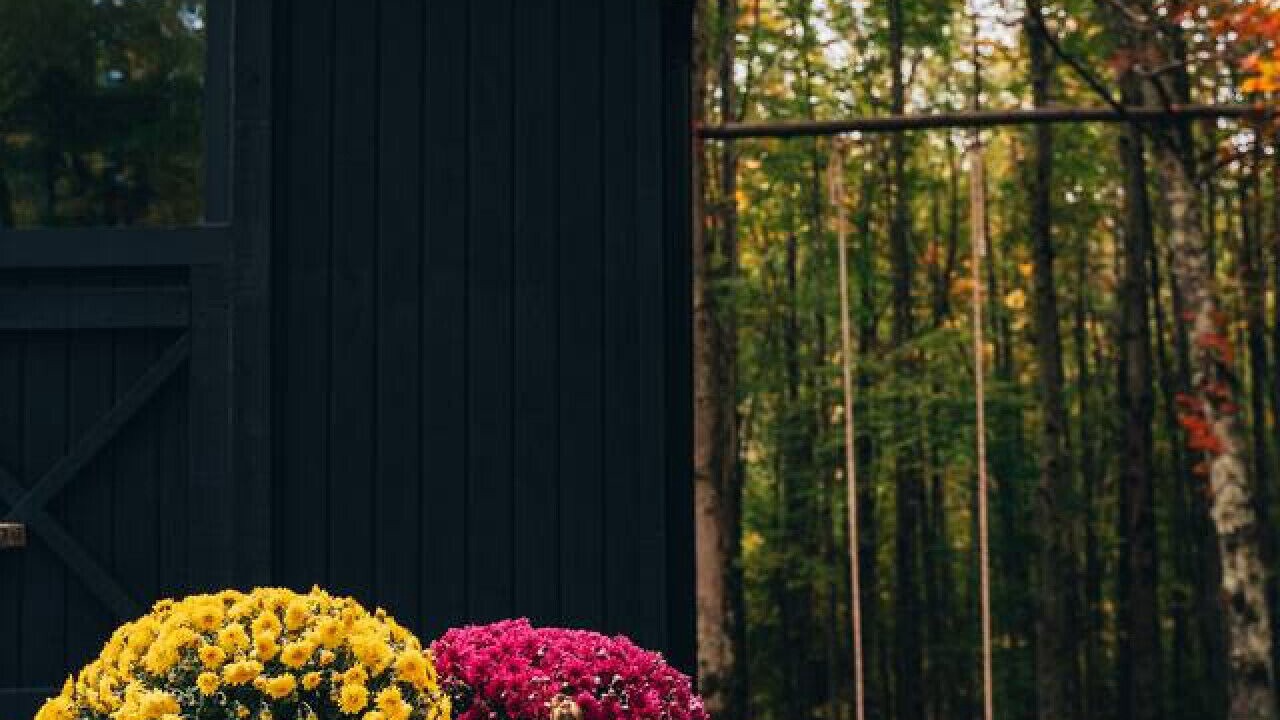 Photo of Outdoor in Bovina Center