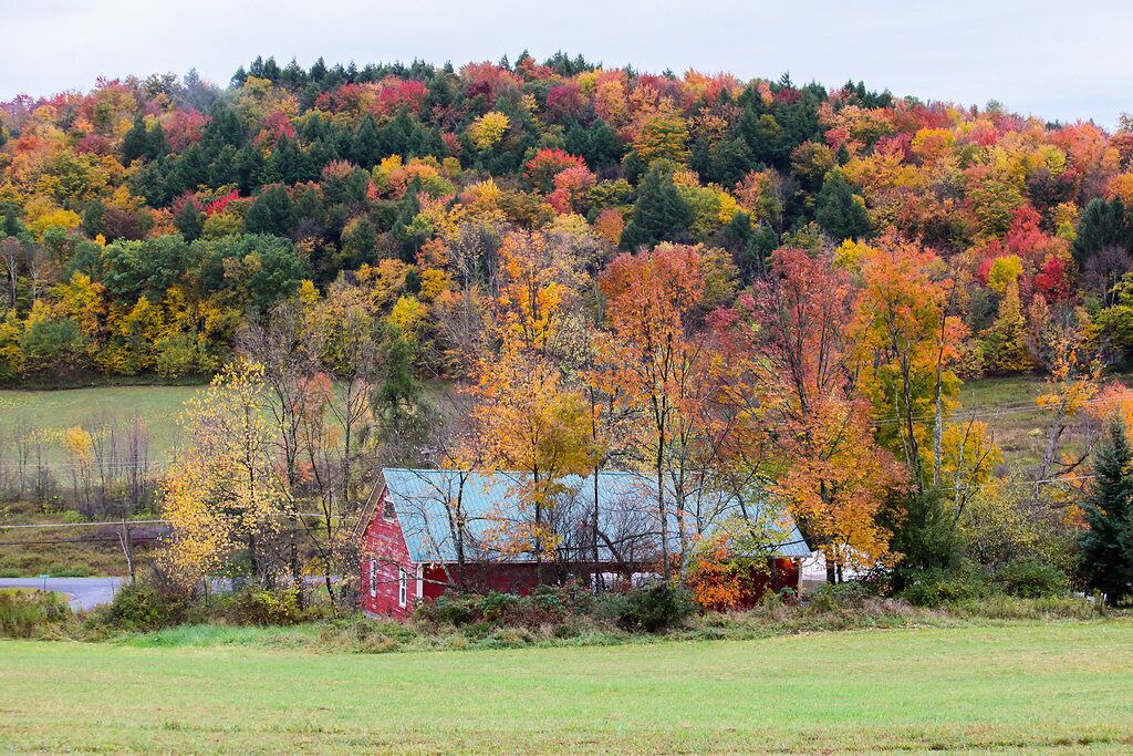Photo of Outdoor in Margaretville