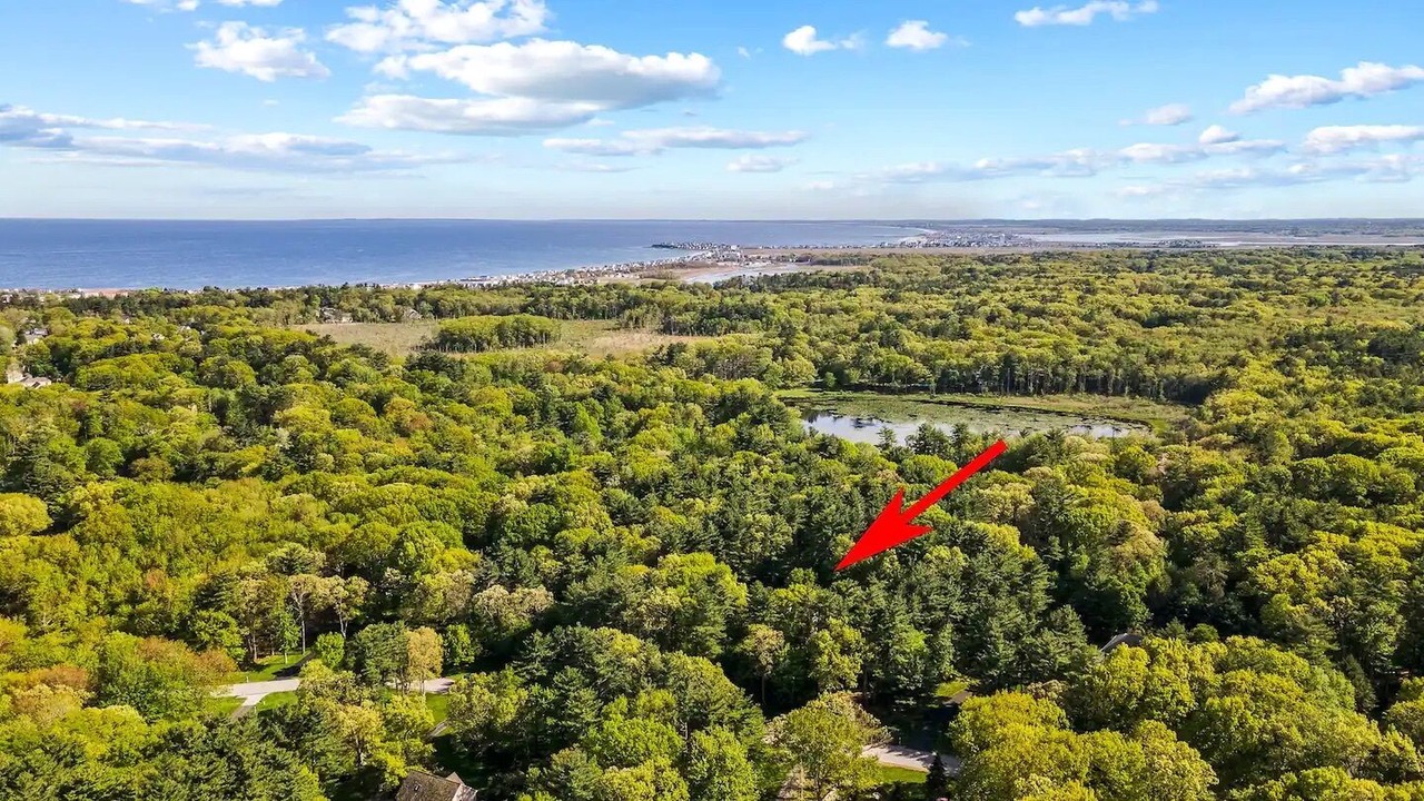 Photo of Outdoor in Hampton