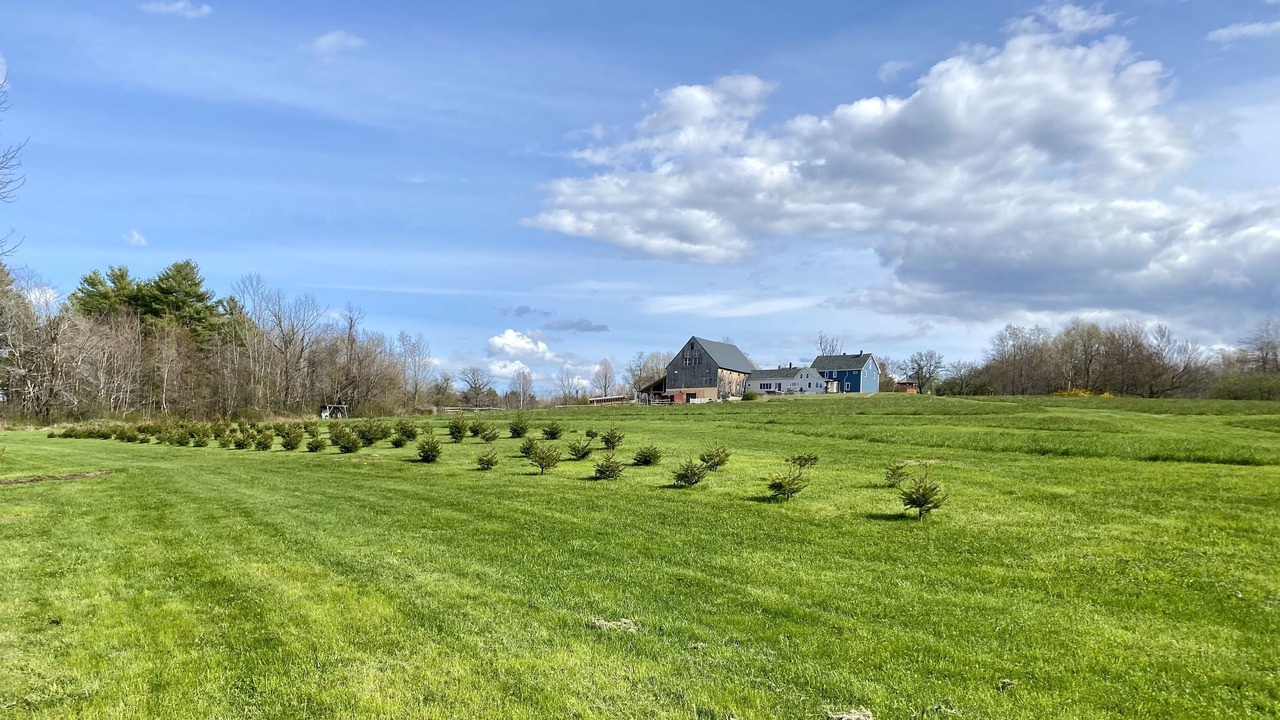 Photo of Outdoor in New London