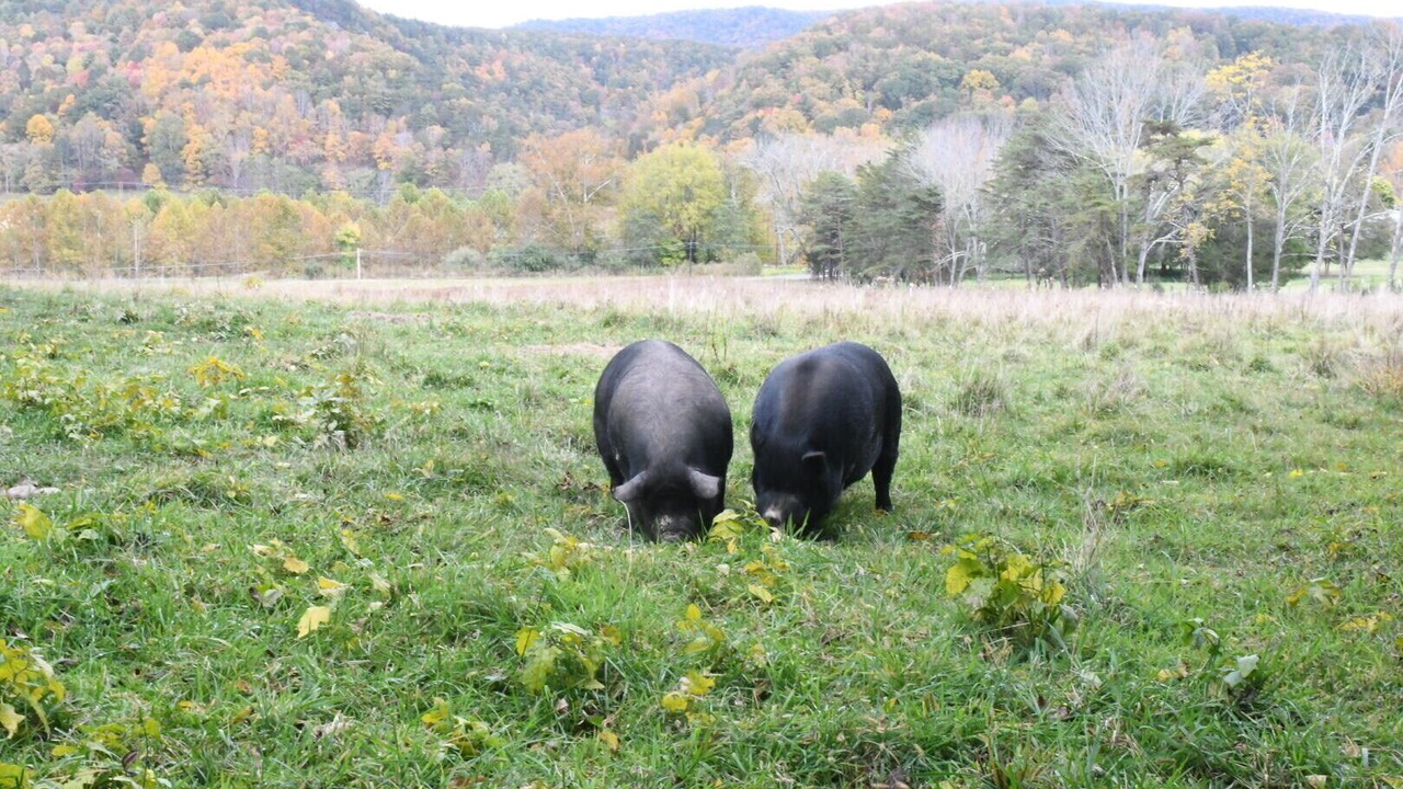 Photo of Outdoor in Franklin