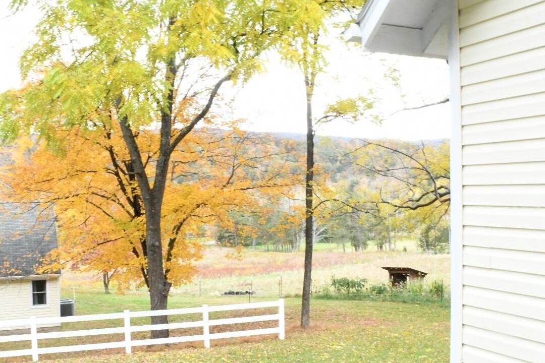 Photo of Outdoor in Franklin