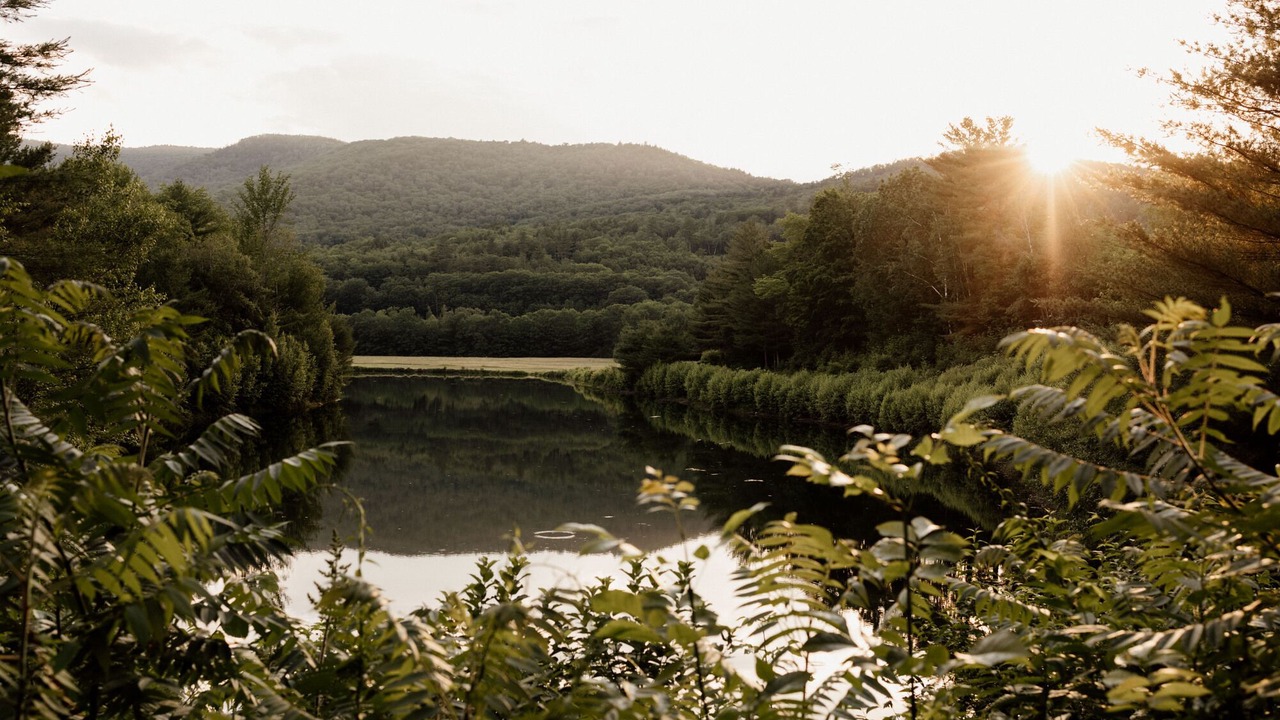 Photo of Others in Woodstock