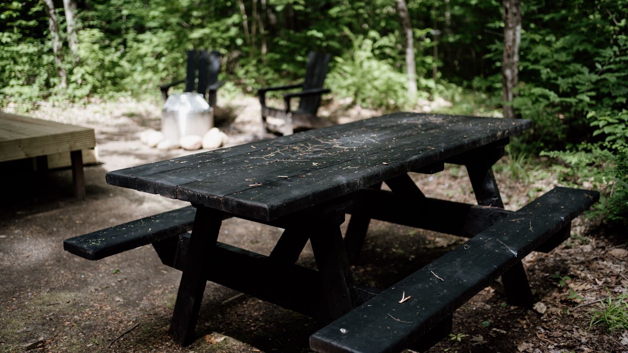 Photo of Others in North Woodstock