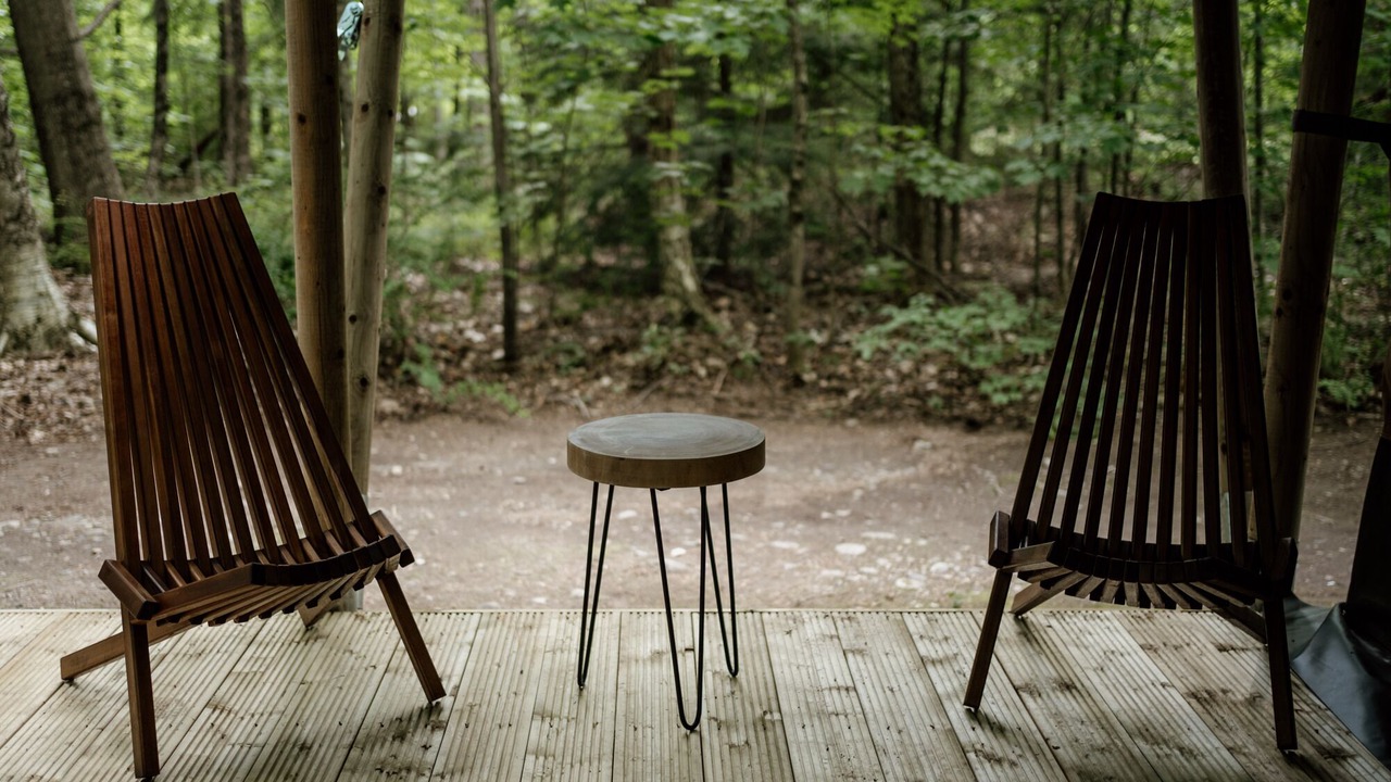 Photo of Others in Woodstock