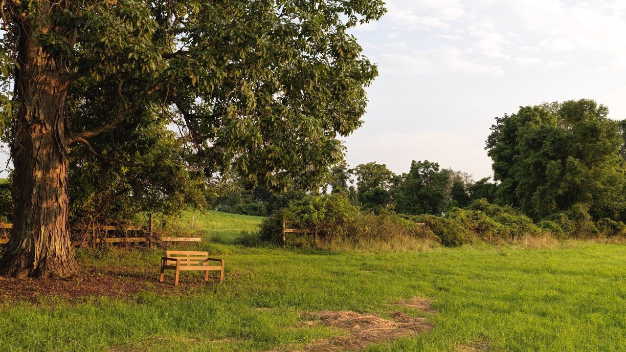Photo of Outdoor in Town of Marbletown